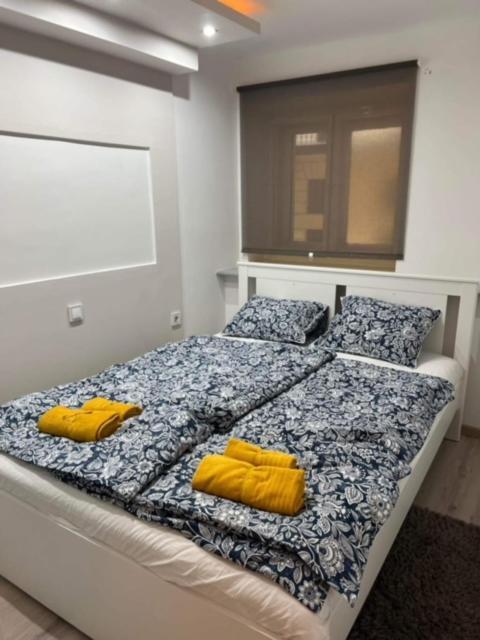Apartmán Raday Street Heven